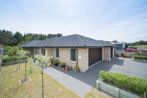 Photo of property in 24 Sandown Avenue, Himatangi Beach, Foxton, 4891