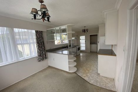 Photo of property in 20 Burn Street, Levin, 5510