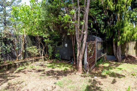 Photo of property in 502 Tairua Sh25 Road, Whangamata, 3691