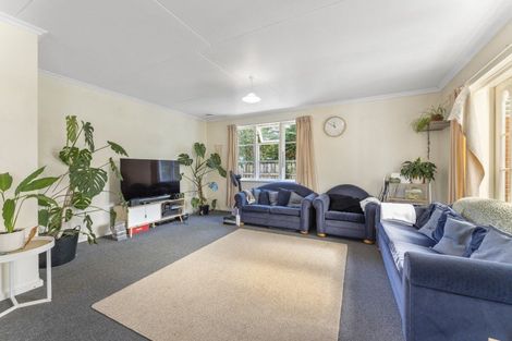 Photo of property in 59 Mangahao Road, Pahiatua, 4910