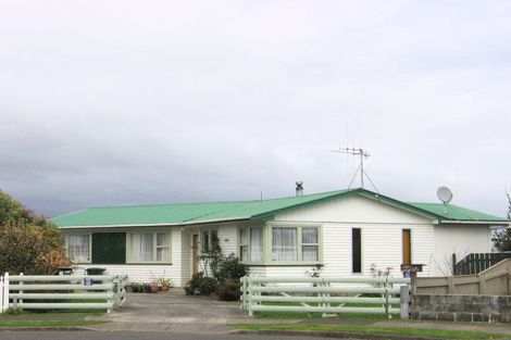 Photo of property in 6 Drake Street, Levin, 5510