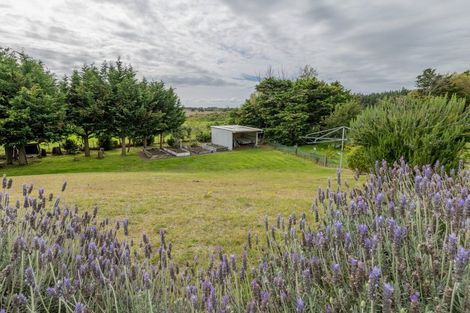 Photo of property in 90 Bergin Road Foxton Horowhenua District