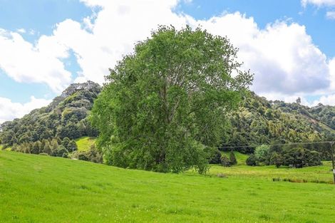 Photo of property in 299 Haruru Road, Kaukapakapa, 0873