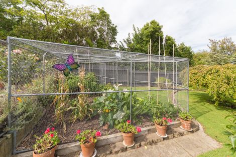 Photo of property in 3 Wincanton Place, Awapuni, Palmerston North, 4412