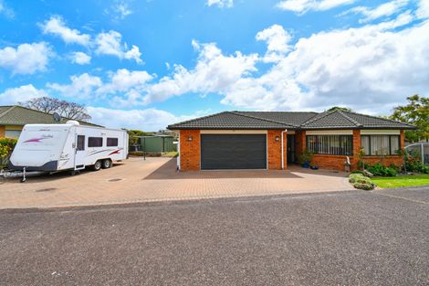 Photo of property in 17 Castlehill Court, Wattle Downs, Auckland, 2103
