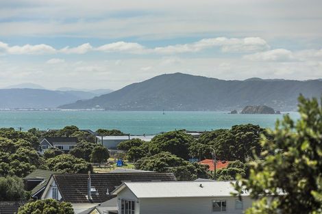 Photo of property in 4 Pinnacle Street, Seatoun, Wellington, 6022
