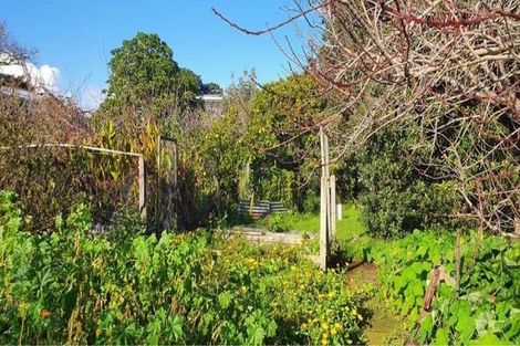 Photo of property in 11 Nikau Street, Tawhero, Whanganui, 4501