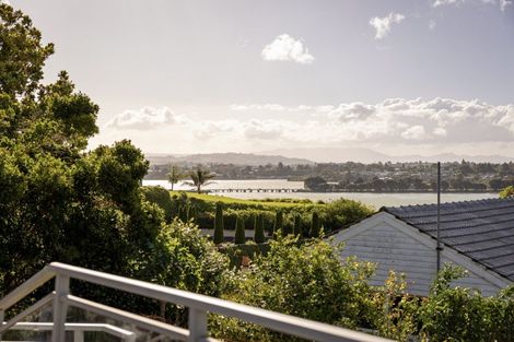 Photo of property in 240 Maungatapu Road, Maungatapu, Tauranga, 3112