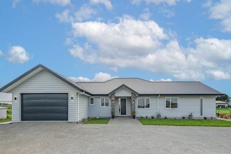 Photo of property in 455e Taonui Road, Colyton, Feilding, 4775