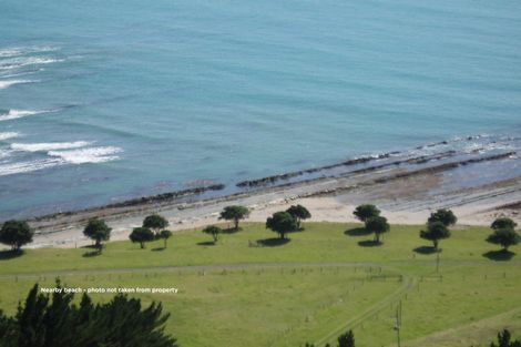 Photo of property in 934 Mahia East Coast Road, Mahia, 4198