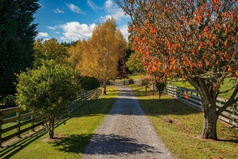 Photo of property in 8 Mark Wynd, Maunganamu, Taupo, 3379