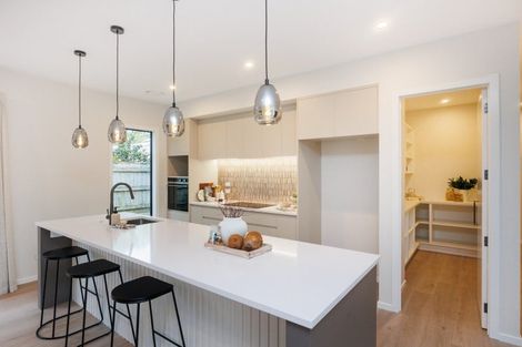 Photo of property in 29a Hardie Street, Hokowhitu, Palmerston North, 4410