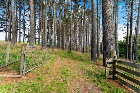 Photo of property in 894 Horseshoe Bush Road, Waitoki, Kaukapakapa, 0871