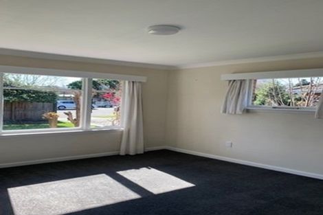 Photo of property in 176 Grahams Road, Burnside, Christchurch, 8053