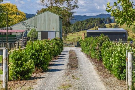 Photo of property in 42 Guy Road, Kaipara Flats, Warkworth, 0981