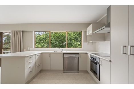 Photo of property in 21 Marydale Drive, Mount Roskill, Auckland, 1041