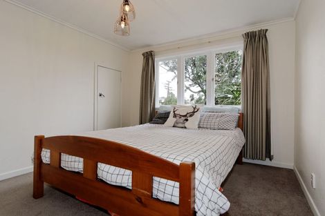 Photo of property in 13 Blease Street, New Lynn, Auckland, 0600