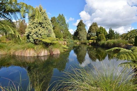 Photo of property in 56 Springs Road, Poroti, Whangarei, 0179