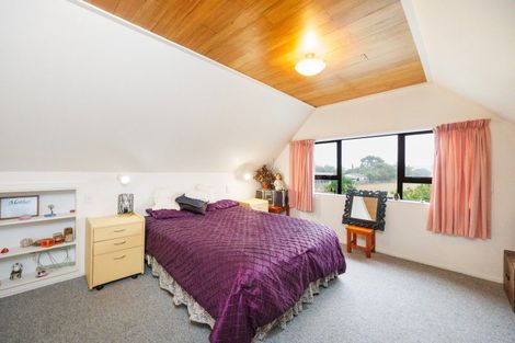 Photo of property in 67 Winchester Street, Ashhurst, 4810