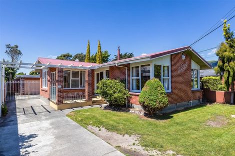 Photo of property in 21 Earl Street, Hillsborough, Christchurch, 8022