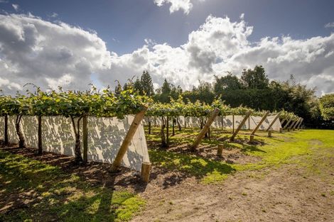 Photo of property in 36 Reeves Road, Te Ranga, Te Puke, 3188