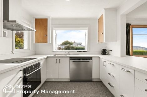 Photo of property in 146a Highgate, Roslyn, Dunedin, 9010