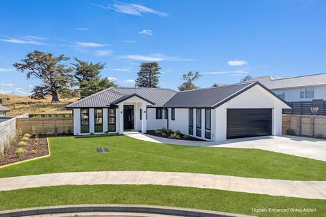 Photo of property in 44 Tirimoana Place, Otamatea, Whanganui, 4501