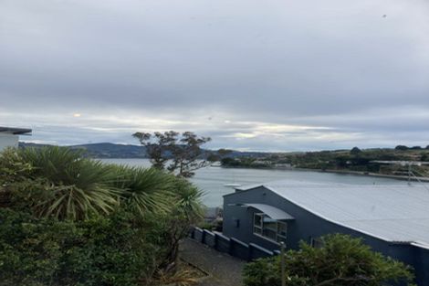 Photo of property in 38 Marine Parade, Macandrew Bay, Dunedin, 9014