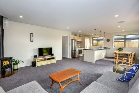 Photo of property in 14 Carrington Close, Lincoln, 7608