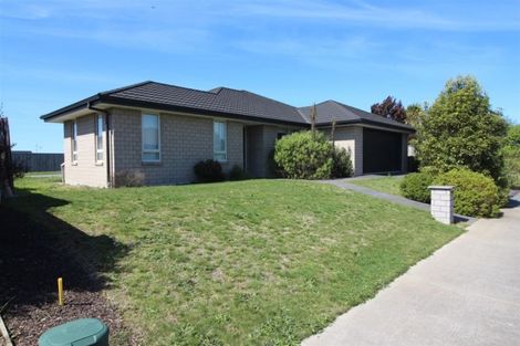 Photo of property in 8 Tommy Street, Pegasus, 7612