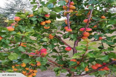 Photo of property in 967 Leader Road West, Waiau, Cheviot, 7384