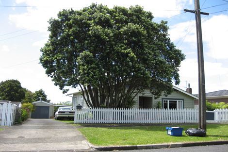 Photo of property in 28 Totara Avenue, Pukekohe, 2120