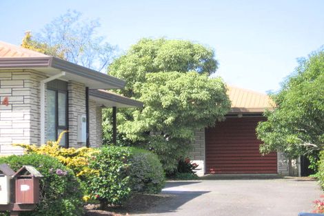 Photo of property in 44 Sunrise Avenue, Mount Maunganui, 3116