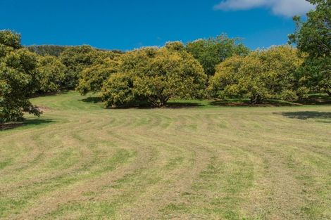 Photo of property in 333b Pahoia Road, Whakamarama, Tauranga, 3172