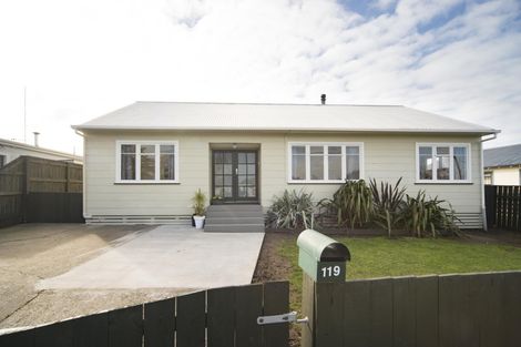 Photo of property in 119 Sherwill Street West, Feilding, 4702