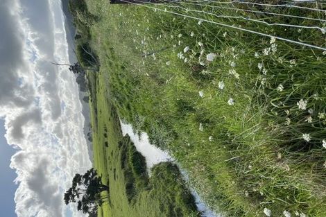 Photo of property in 501 Tara Road, Mangawhai, Kaiwaka, 0573