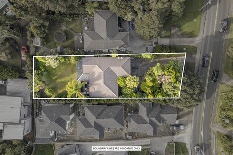 Photo of property in 43 Atkinson Road, Titirangi, Auckland, 0604