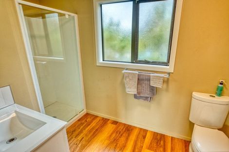 Photo of property in 4 Russell Street, Okarito, Whataroa, 7886