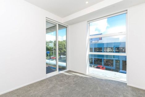 Photo of property in 3/246g Khyber Pass Road, Grafton, Auckland, 1023