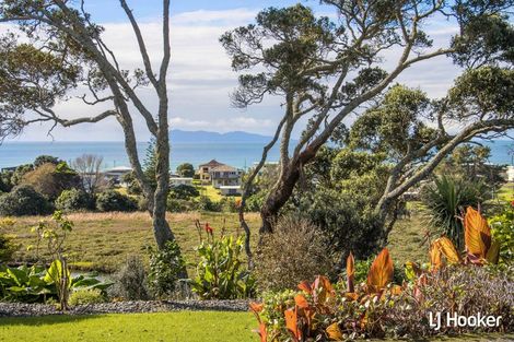 Photo of property in 155 Koutunui Road, Athenree, Katikati, 3177