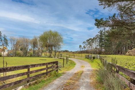 Photo of property in 393 Fairdown Road, Westport, 7891