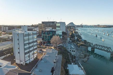 Photo of property in Elizabeth Height Apartments, 8 Elizabeth Street, Tauranga, 3110