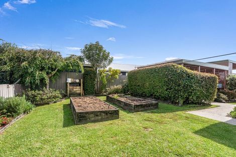 Photo of property in 14 Pacific Place, Whitianga, 3510