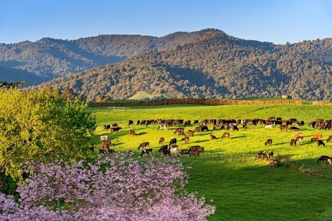 Photo of property in 48 Poland Street, Waikino, Waihi, 3682