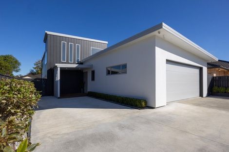 Photo of property in 178 Manchester Street, Feilding, 4702