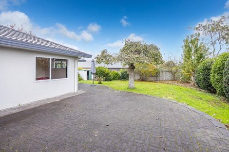 Photo of property in 34 Macmurdo Avenue, Glenview, Hamilton, 3206