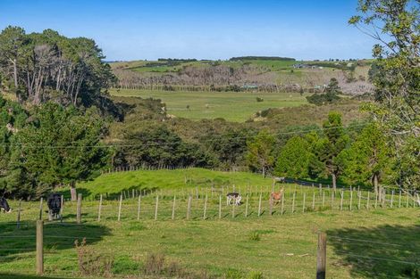 Photo of property in 499 Shelly Beach Road, South Head, Helensville, 0874