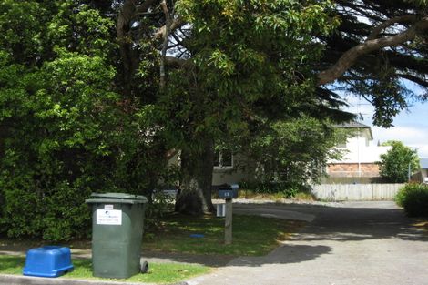 Photo of property in 3 Cardiff Street, Pukekohe, 2120