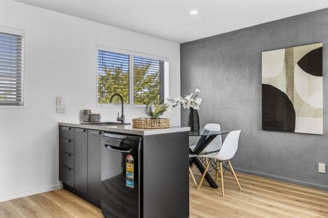 Photo of property in 143 Purchas Street, Edgeware, Christchurch, 8013