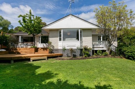Photo of property in 49 Reeve Drive, Havelock North, 4130